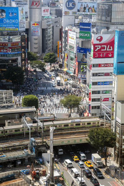 运动展板