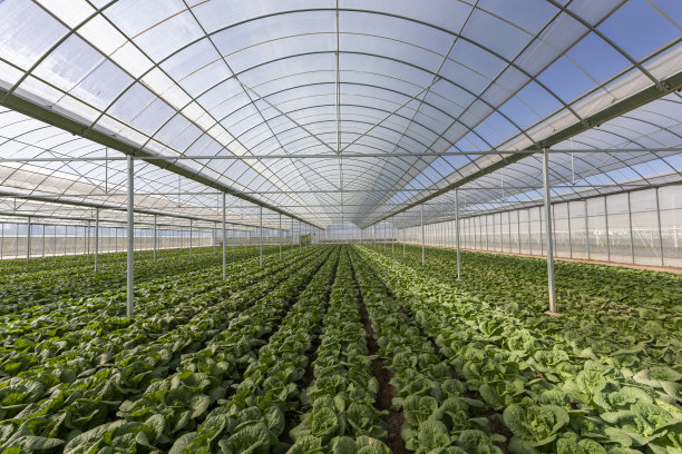 greenhouse