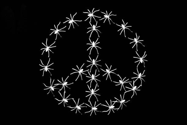 cnd