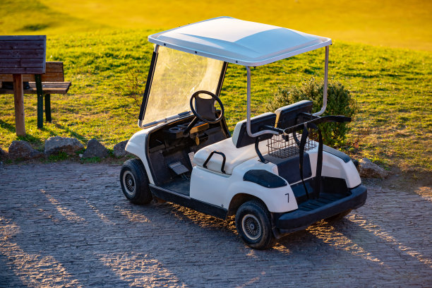 buggy