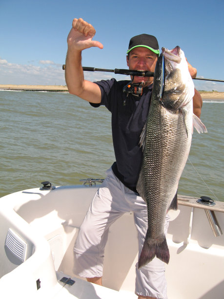 rockfish
