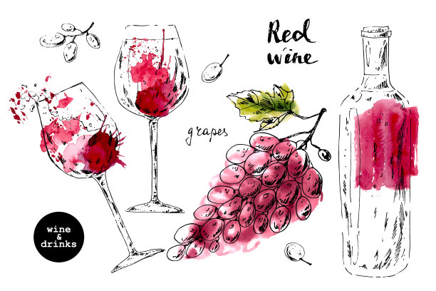 红酒葡萄酒线描包装插画