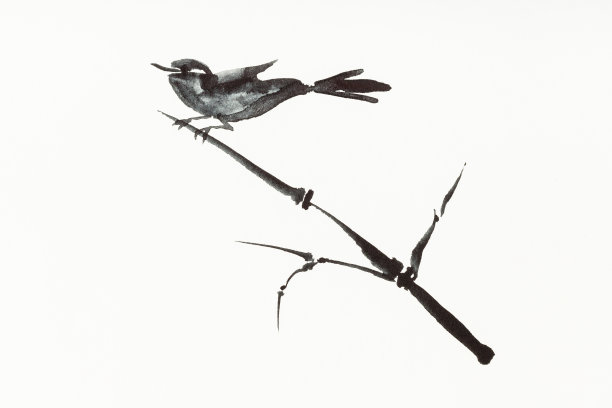 sparrow