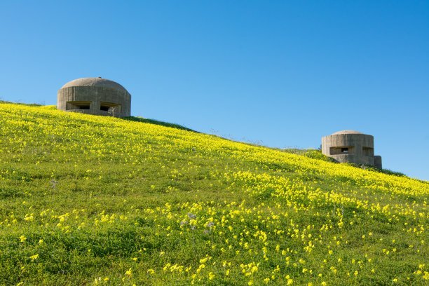 fort