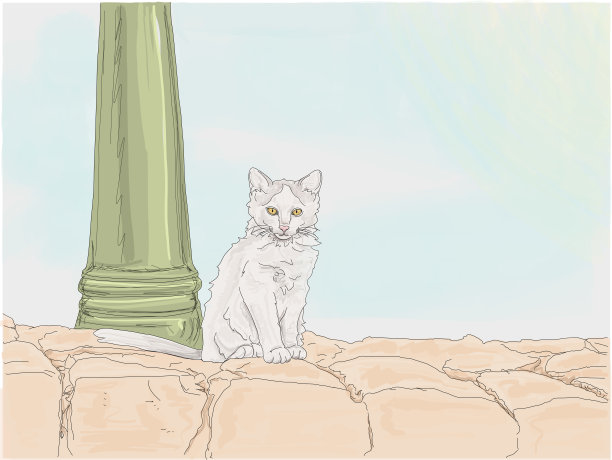 stray