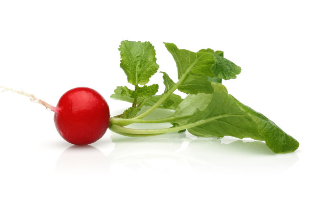 radishes