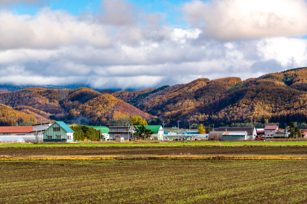 日本北海道雪中宁静村庄