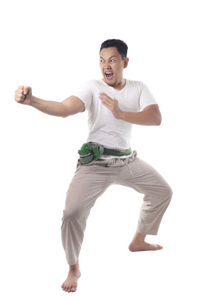 kungfu