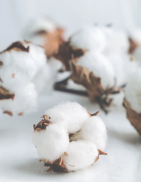cotton