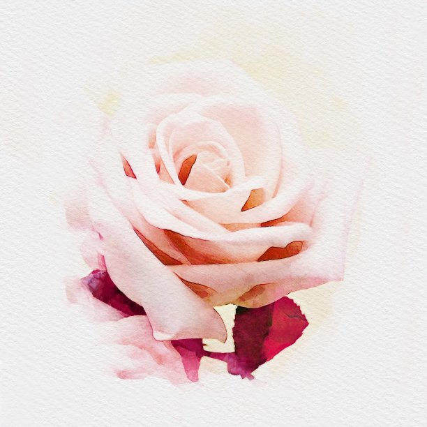 相框 装饰画 玫瑰 粉玫瑰