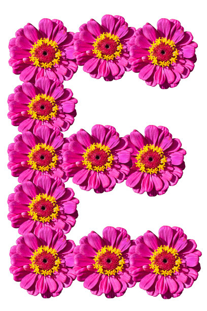 字母花卉组合