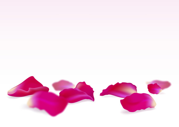 花簇,花,请柬