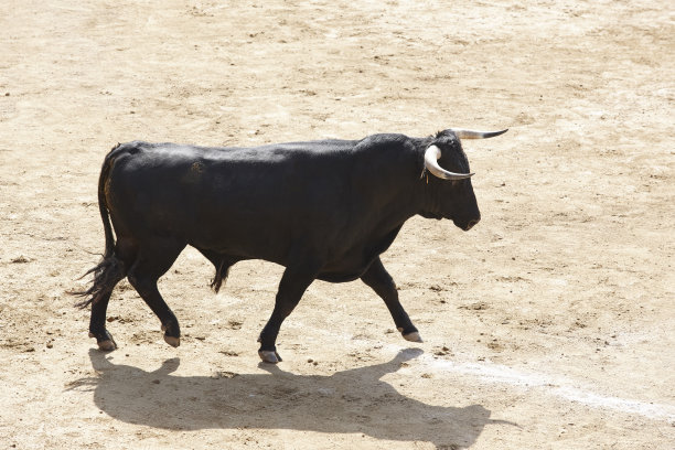 toro
