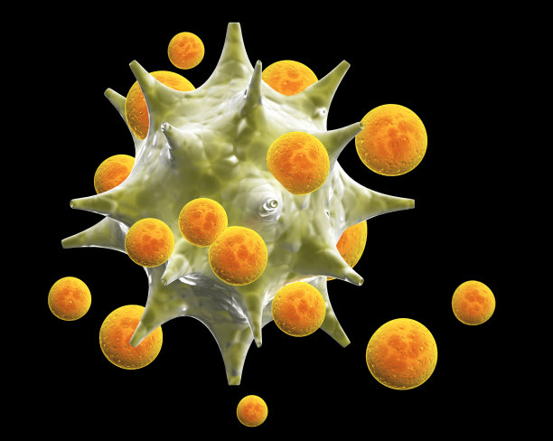 cd4