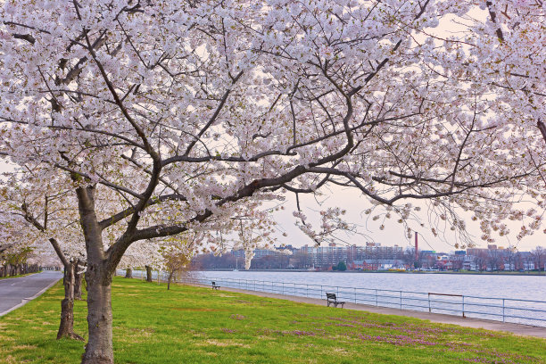 washington