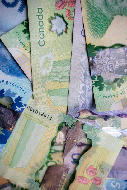 加拿大十美元钞票