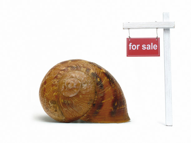 无脊椎动物标志