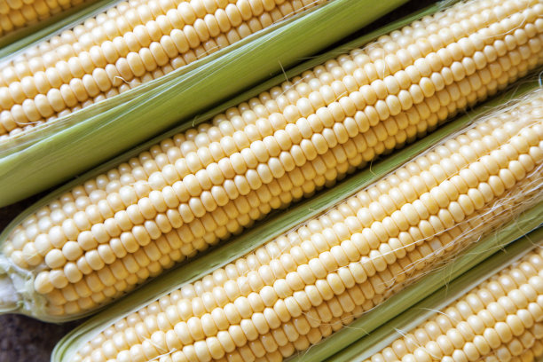 maize