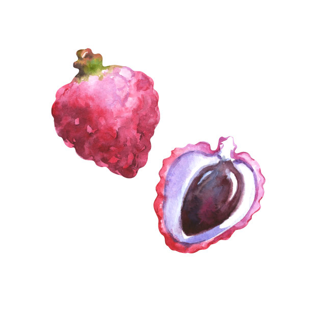 水彩荔枝