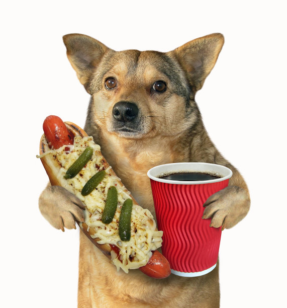 hotdog