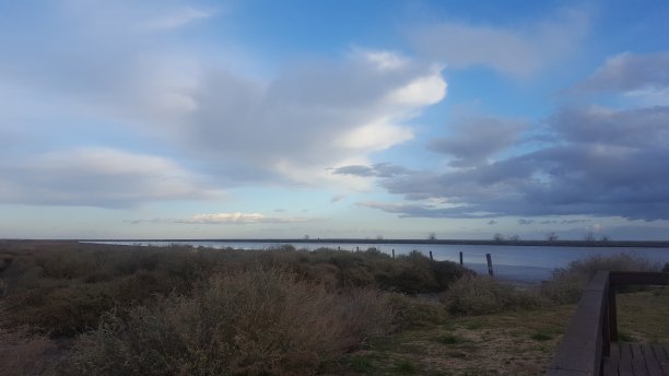 tagus