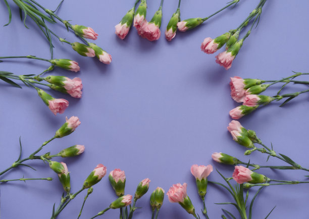 精美紫色绿色圆形花纹图案