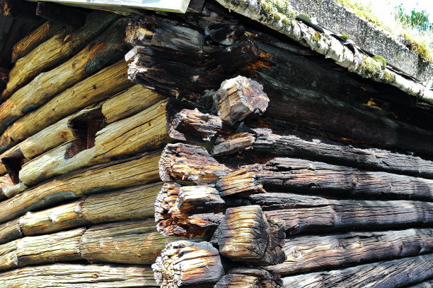 cabins