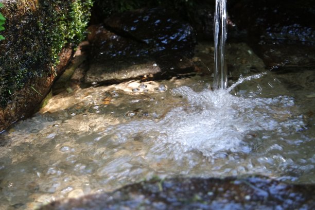source