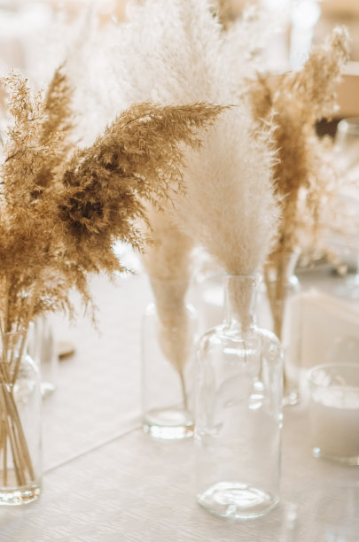 pampas