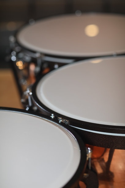 timbale