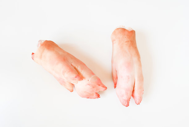 trotter