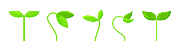 budding