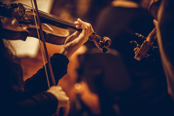 violin