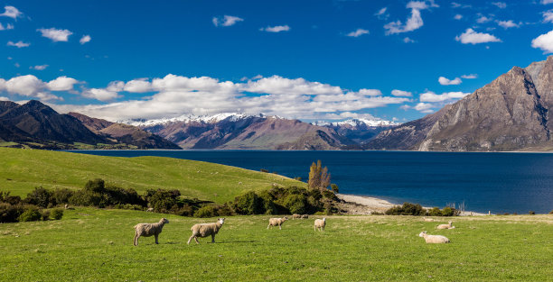 hawea