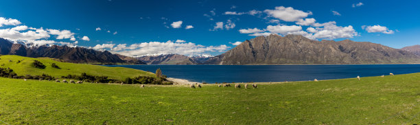 hawea
