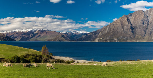 hawea