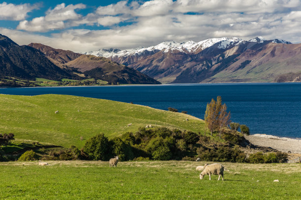 hawea