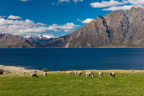 hawea