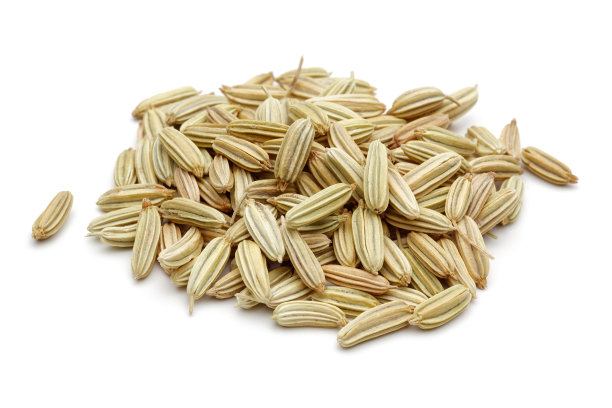 fennel