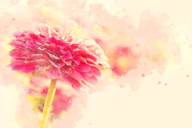 褐色本布卷花