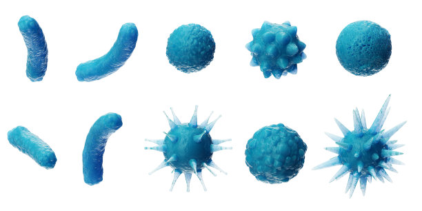 bacteria