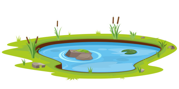 ponds
