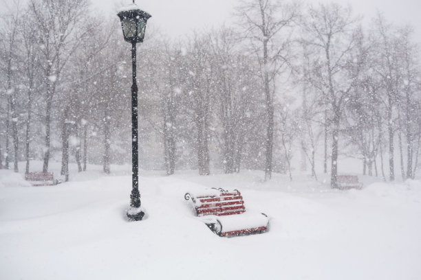 大风雪,寒冷,公园长椅