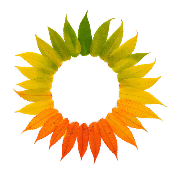 绿黄渐变圆形抽象花纹图案