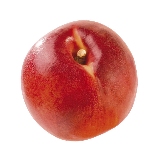 nectarines