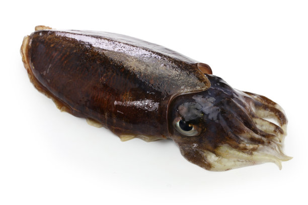 ika
