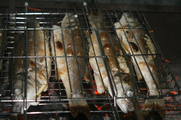 烤鱼,（4）