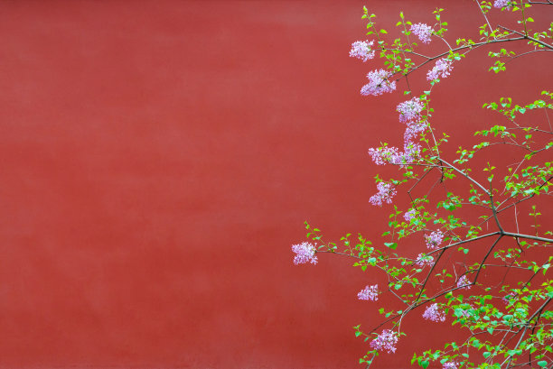 中国风花纹图案