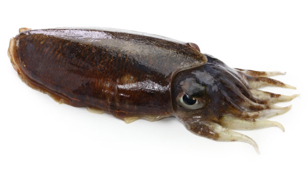 ika
