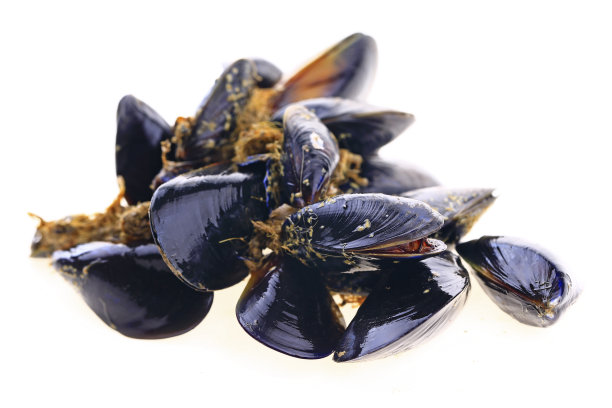 mussels